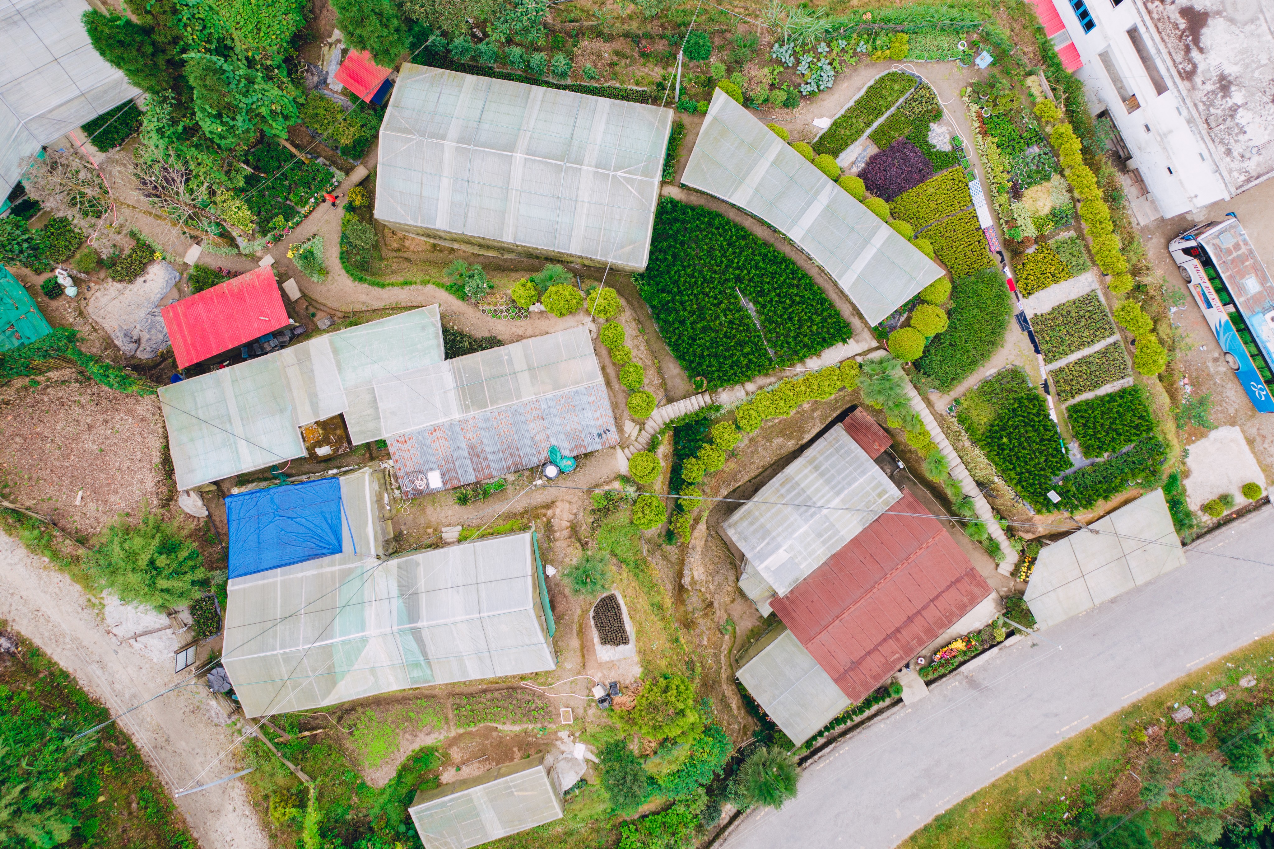 Aerial view of Shristy Nursery